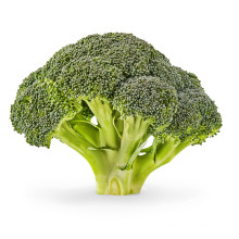 Fresh Export Natural Vegetable Exporter With High Quality Green Healthy Broccoli